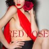 Nikol / 23 / Red Rose